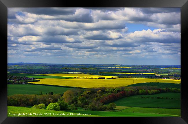 Fields of Gold 2 Framed Print by Chris Thaxter