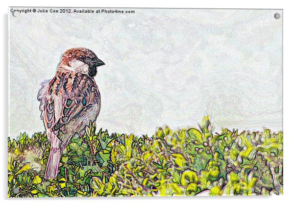 Sparrow - Landscape Version Acrylic by Julie Coe