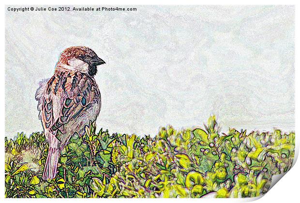 Sparrow - Landscape Version Print by Julie Coe