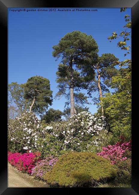 Blue Sky Trees and Flowers Framed Print by Gordon Dimmer
