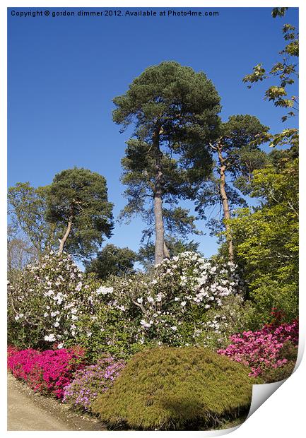 Blue Sky Trees and Flowers Print by Gordon Dimmer