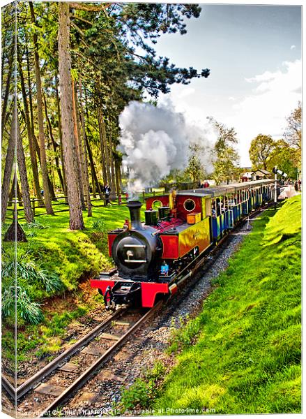 The Jumbo Express Canvas Print by Chris Thaxter