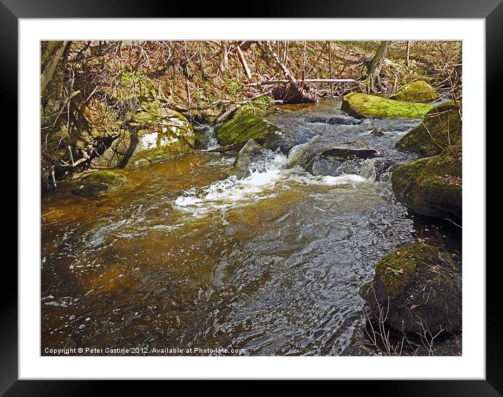 Mountain Stream Framed Mounted Print by Peter Castine