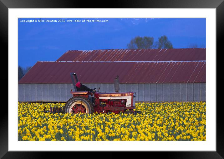 Working Fields of Color Framed Mounted Print by Mike Dawson