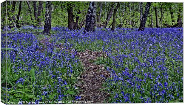 The Bluebells of Kings Wood Canvas Print by K7 Photography