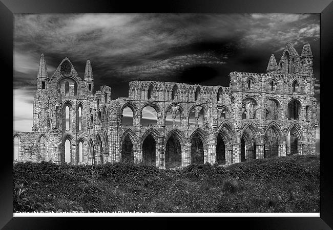Whitby Abbey, Yorkshire. Framed Print by Rob Lester