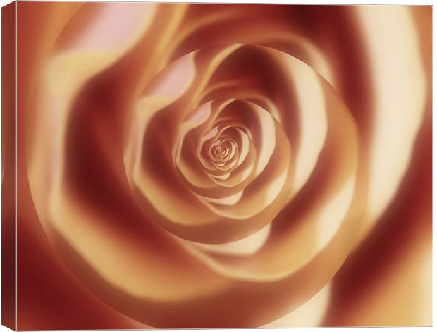 Abstract rose Canvas Print by Jay Ticehurst