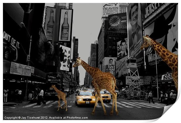 A walk on the wild side Print by Jay Ticehurst