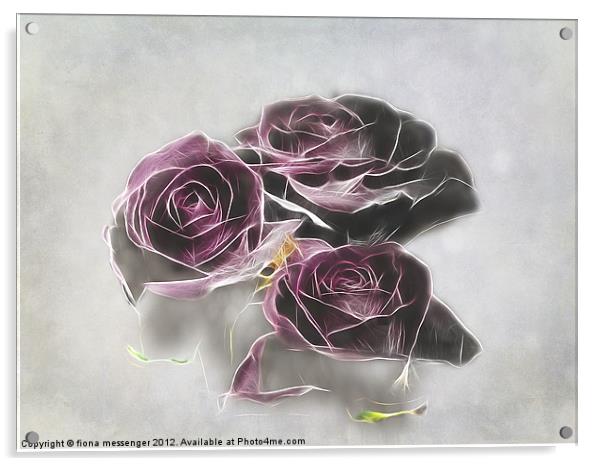 Dark roses Acrylic by Fiona Messenger