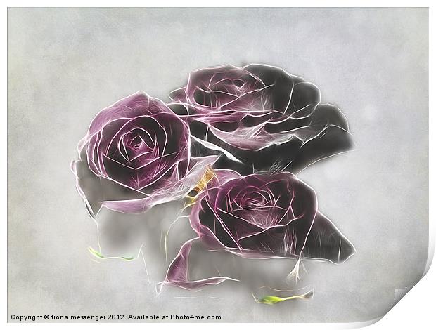 Dark roses Print by Fiona Messenger