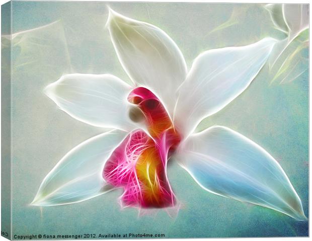 Orchid Blues Canvas Print by Fiona Messenger