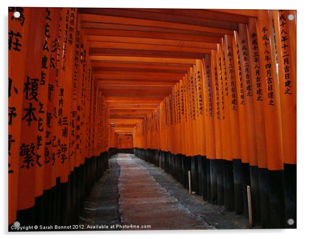 Fushimi Torii Gates Kyoto Japan Acrylic by Sarah Bonnot