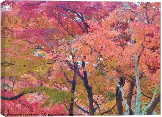 Japanese Autumn Trees Canvas Print by Sarah Bonnot
