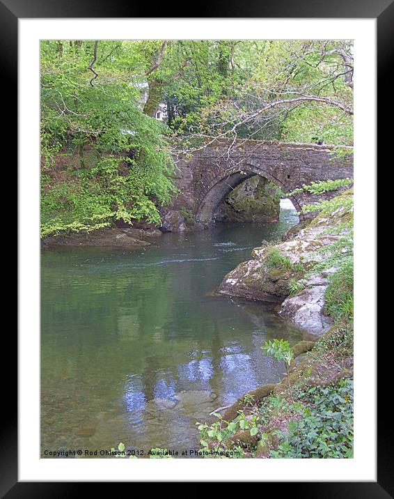 The bridge at Buckland Monachorum, Devon Framed Mounted Print by Rod Ohlsson