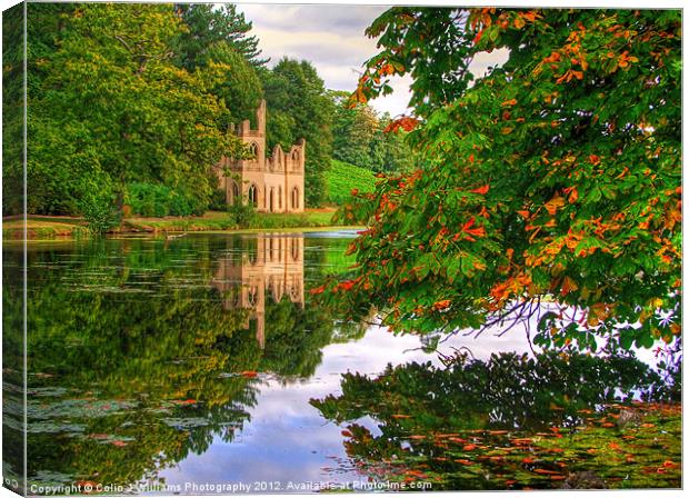 Painshill Park - Autumn Reflections Canvas Print by Colin Williams Photography