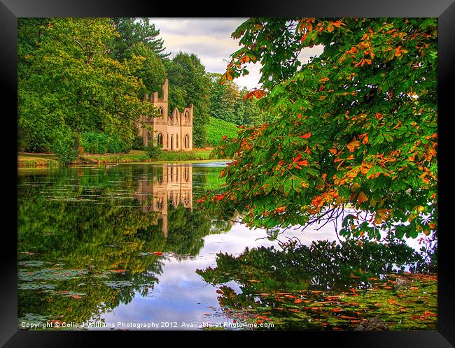 Painshill Park - Autumn Reflections Framed Print by Colin Williams Photography