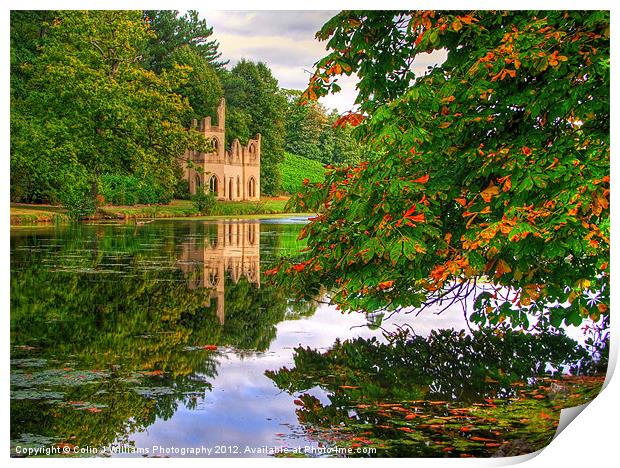 Painshill Park - Autumn Reflections Print by Colin Williams Photography
