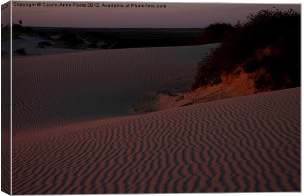 Before Sunrise at Mungo Canvas Print by Carole-Anne Fooks