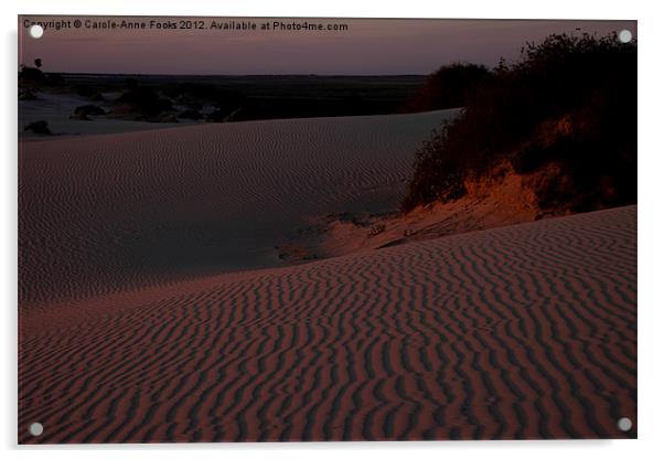 Before Sunrise at Mungo Acrylic by Carole-Anne Fooks