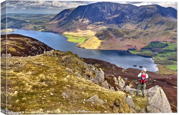 Crummock Water from Red Pike Canvas Print by David Lewins (LRPS)