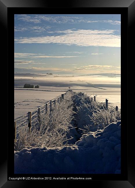 Still Life - Frozen Scotland Framed Print by LIZ Alderdice