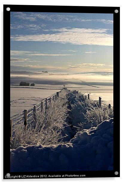 Still Life - Frozen Scotland Acrylic by LIZ Alderdice
