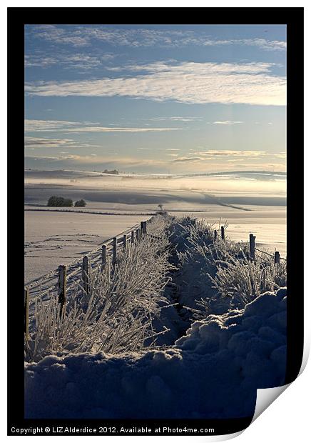 Still Life - Frozen Scotland Print by LIZ Alderdice