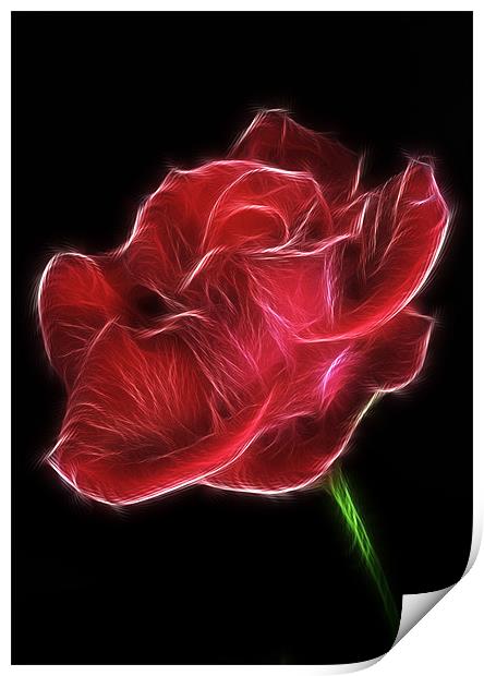 Electric Red Rose Print by Mike Gorton