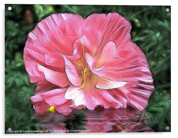 Cistus Reflections Acrylic by Fiona Messenger