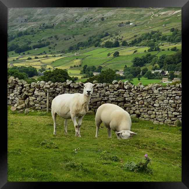 In the Moors Framed Print by Sarah Couzens