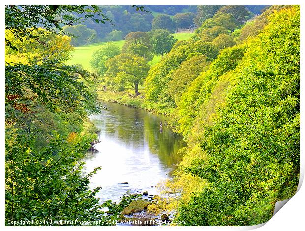 Fly Fishing Nidderdale Print by Colin Williams Photography