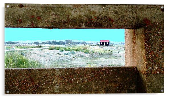 Little red roofed shack Acrylic by Alison Jackson