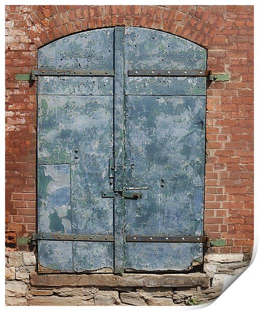 Old Door Print by Mary Lane