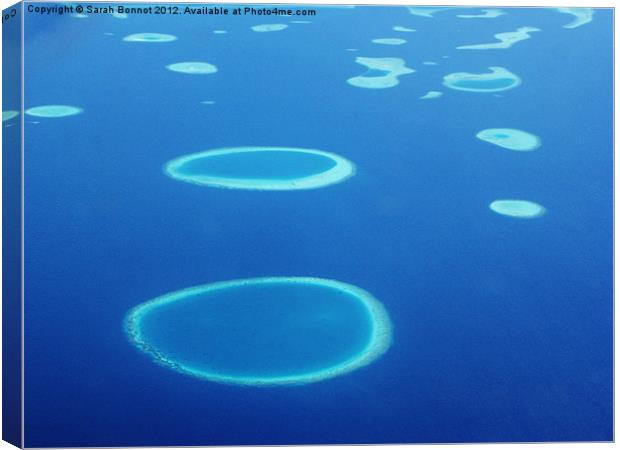 Coral Atolls of The Maldives Canvas Print by Sarah Bonnot