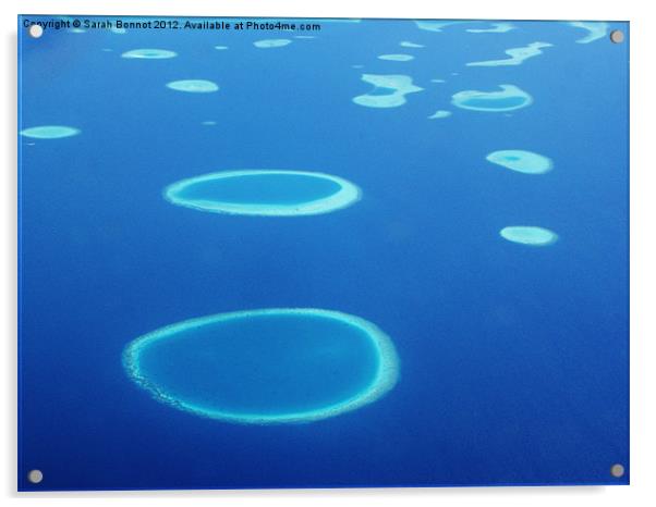 Coral Atolls of The Maldives Acrylic by Sarah Bonnot