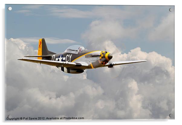P51D Mustang - Miss Velma Acrylic by Pat Speirs