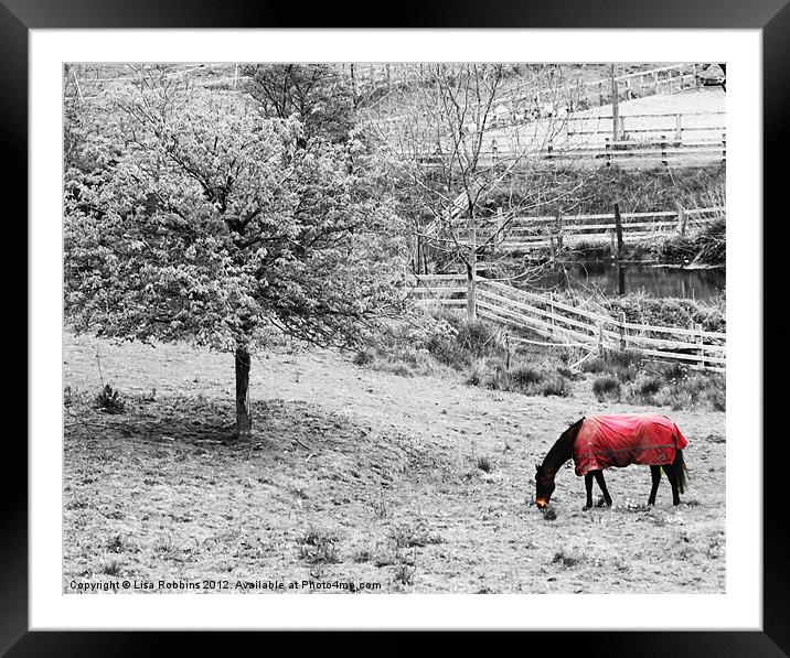Winter horse Framed Mounted Print by Loren Robbins