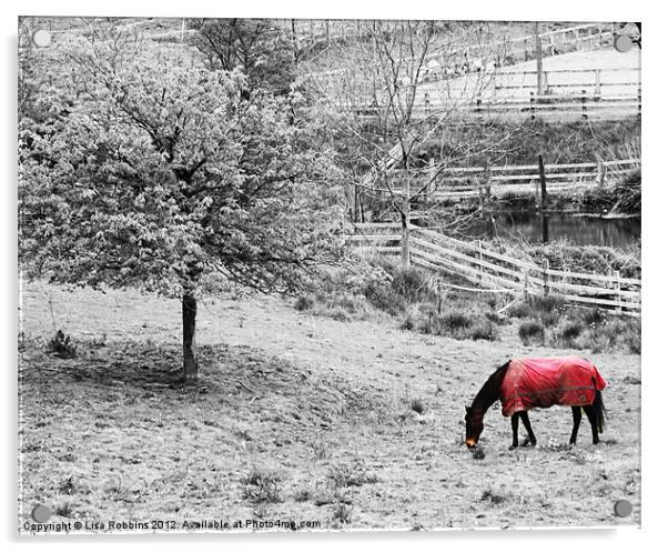 Winter horse Acrylic by Loren Robbins