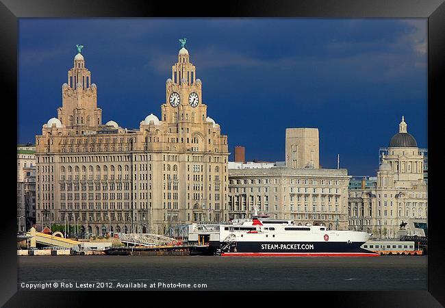 The liver  building, Liverpool Framed Print by Rob Lester