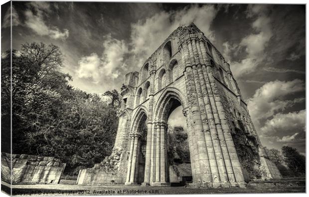 Roche Abby Maltby Canvas Print by Julie  Chambers