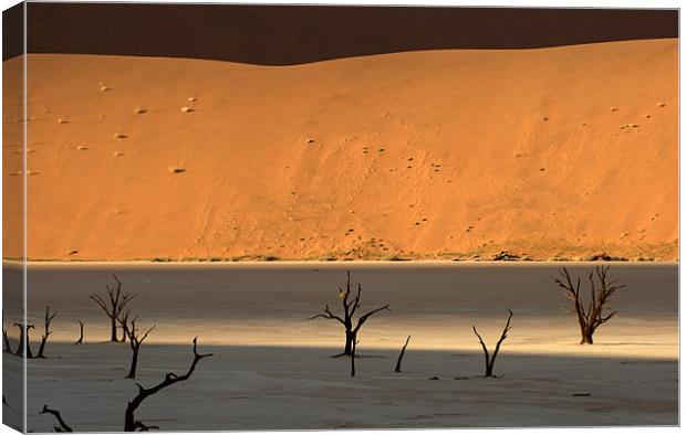Namib desert Canvas Print by Michal Cerny