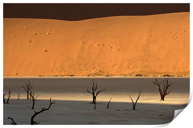 Namib desert Print by Michal Cerny