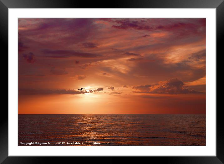 A Florida Sunset Framed Mounted Print by Lynne Morris (Lswpp)