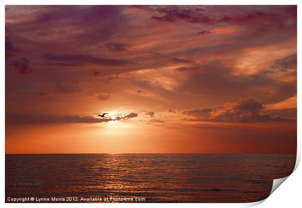 A Florida Sunset Print by Lynne Morris (Lswpp)