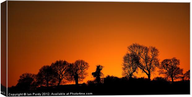 Tree line sunset Canvas Print by Ian Purdy
