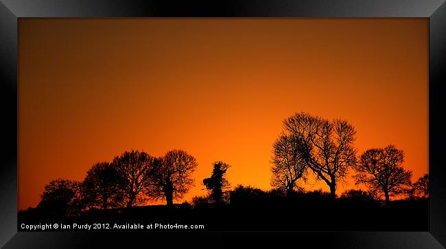 Tree line sunset Framed Print by Ian Purdy