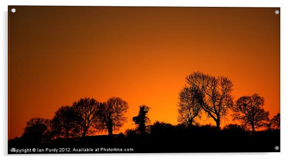 Tree line sunset Acrylic by Ian Purdy