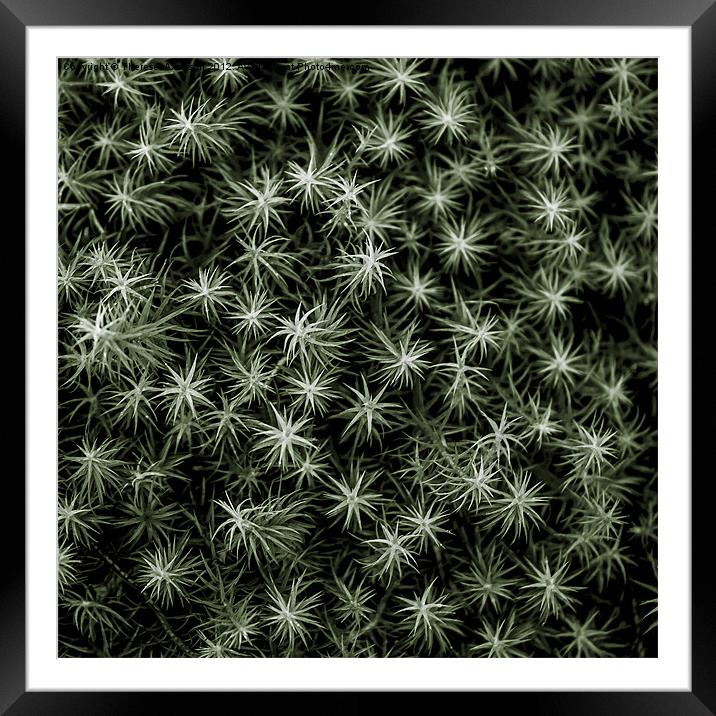 Stars Framed Mounted Print by Therese  Axelsson