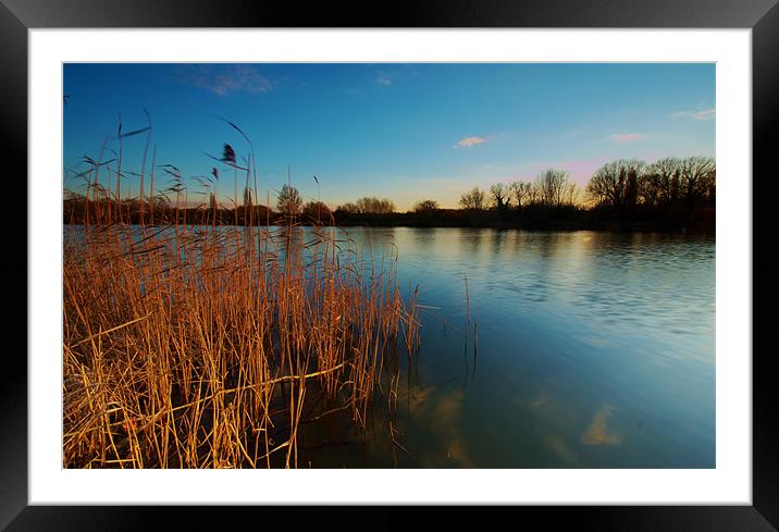Stanborough Reeds Framed Mounted Print by Chris Nowicki