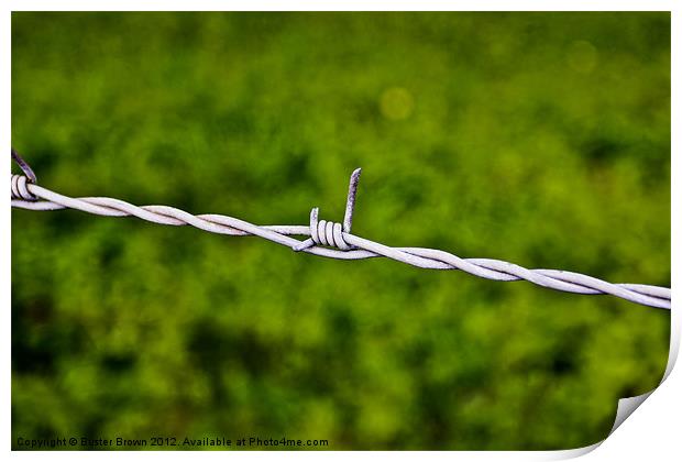 Barbed Wire Simplicity Print by Buster Brown